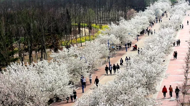 濮阳职业技术学院